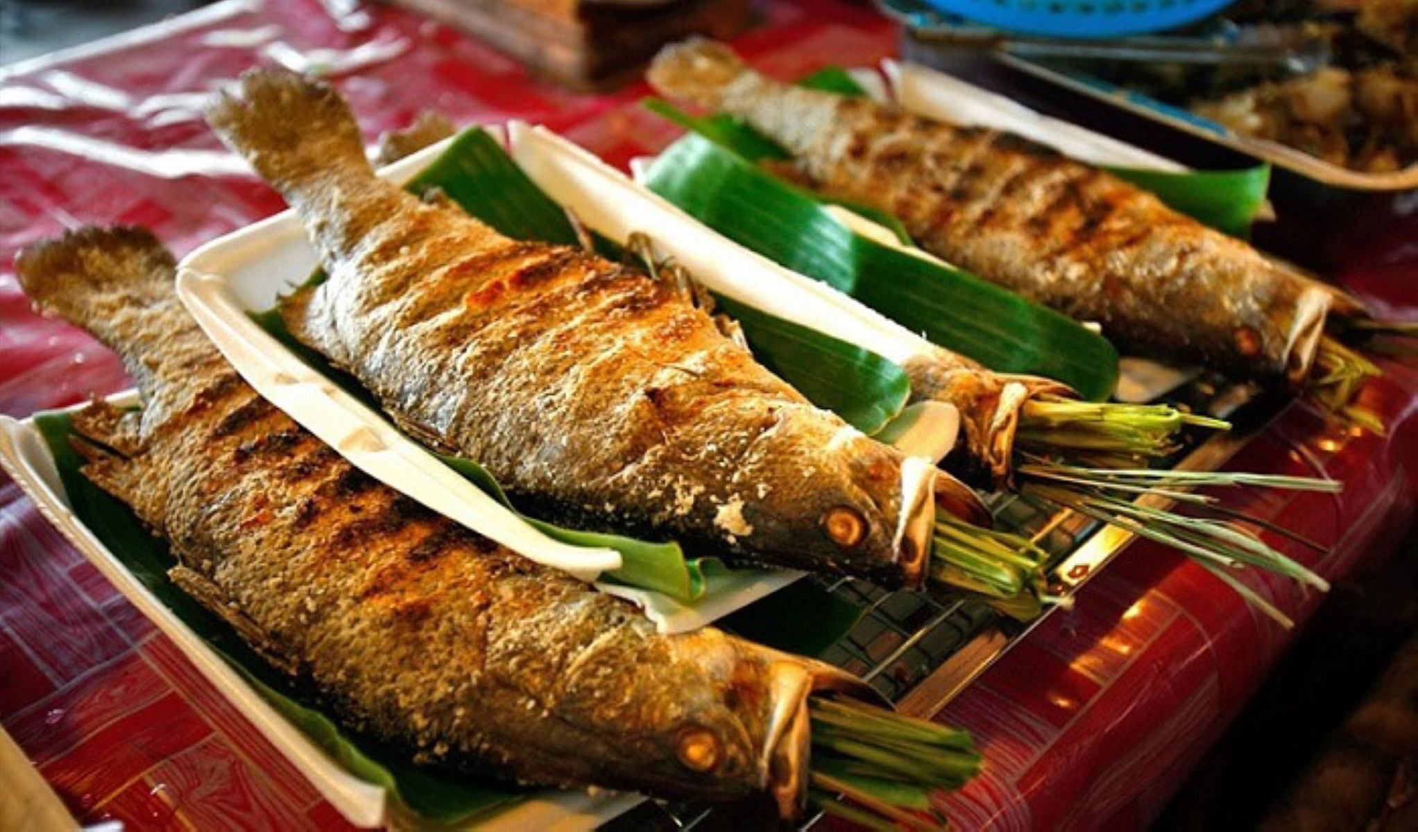 Tien Giang Province Vietnam Grilled Fish 2044x1200