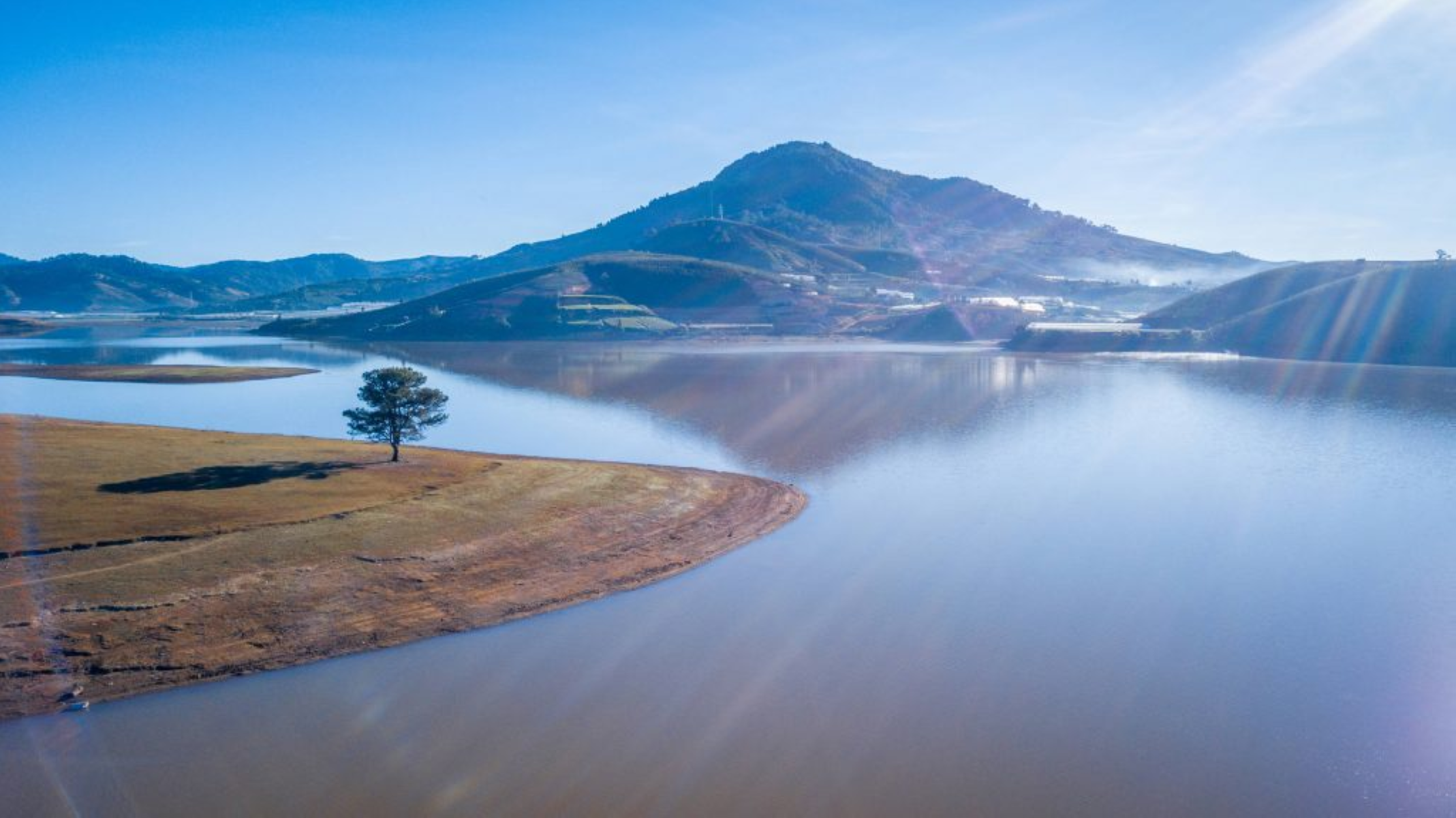 Da Lat An Exciting Mountain Retreat For Adventure Seekers Co Don Lonely Pine Tree 2137x1200