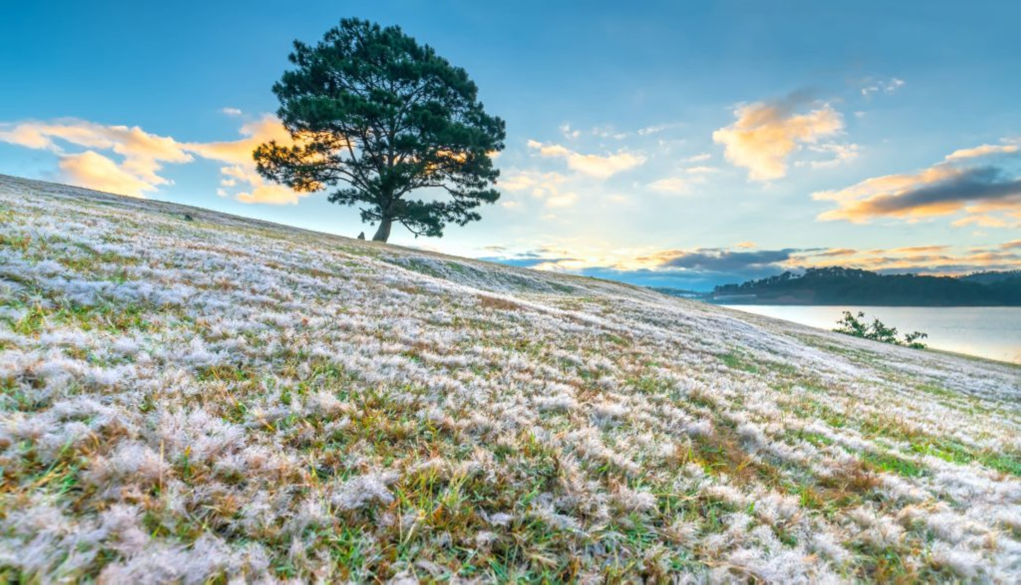 The Best Times Of The Year To Visit Vietnam A Seasonal And Regional Breakdown Snow In Da Lat Vietnam 2093x1200