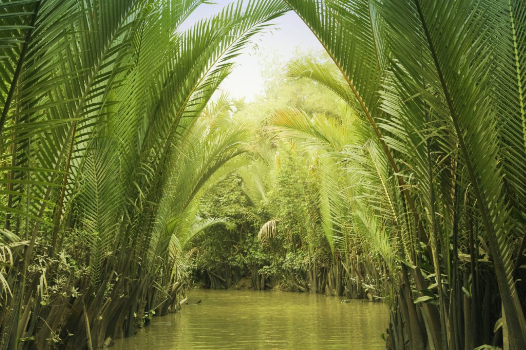 The Best Times Of The Year To Visit Vietnam A Seasonal And Regional Breakdownmekong Delta Vietnam 1802x1200